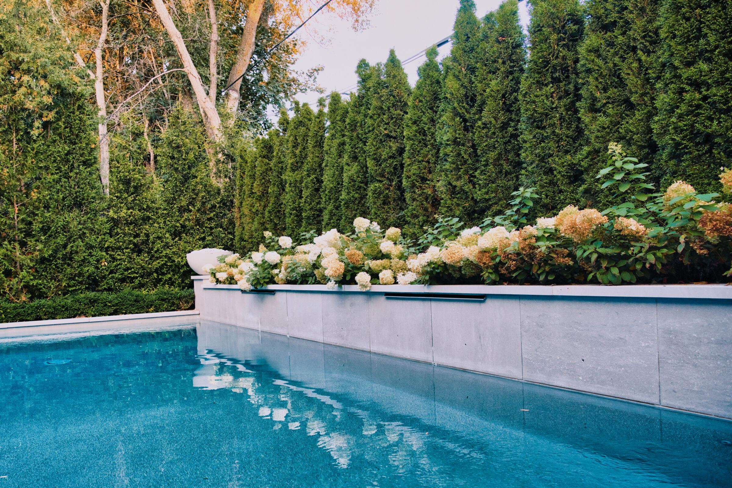 A serene backyard pool surrounded by lush green trees, flowering bushes, and a neatly trimmed hedge, reflecting calm and nature's beauty.