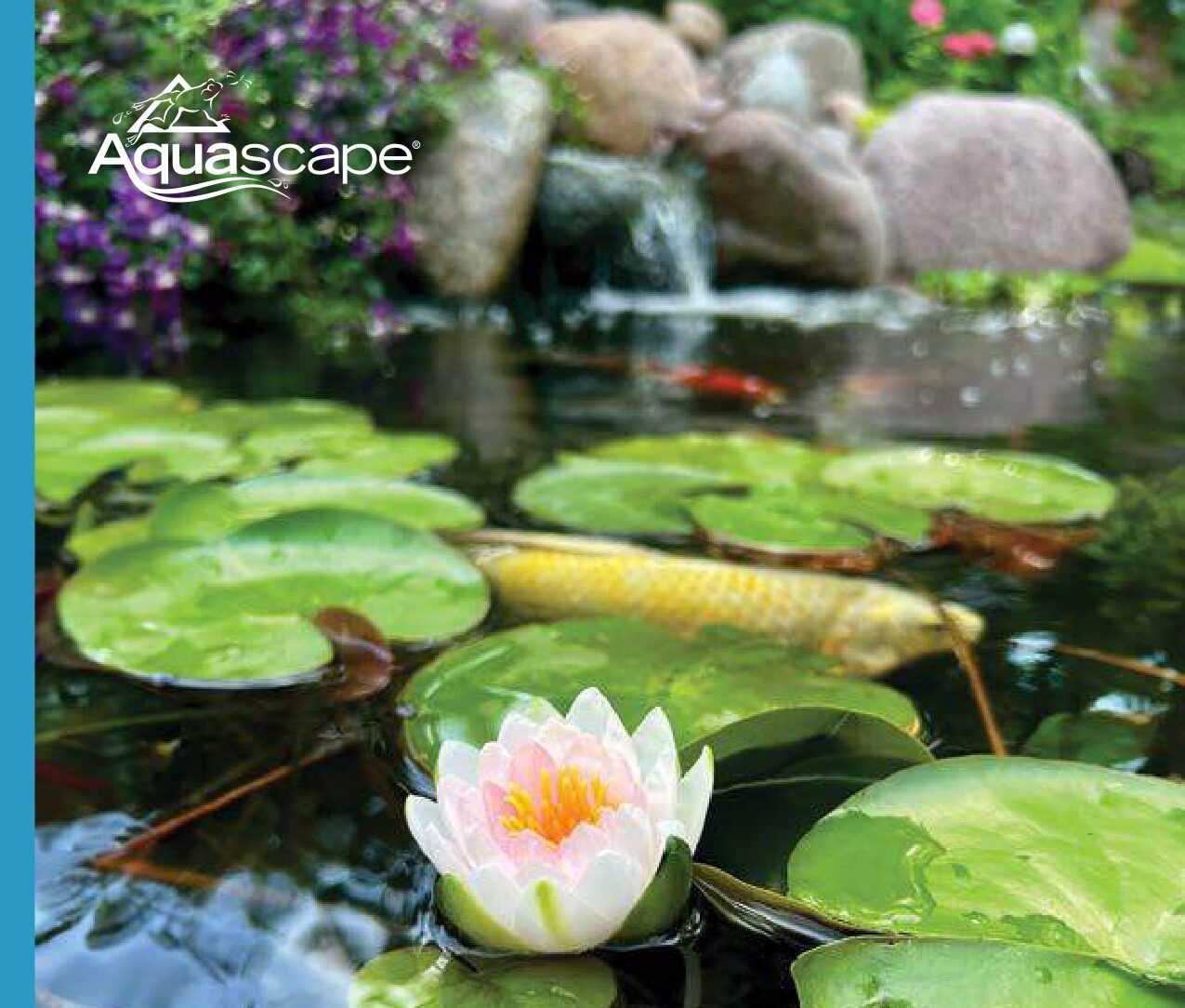A serene pond features vibrant lilies, green lily pads, colorful koi fish, and cascading water from rocks, creating a tranquil aquatic scene.