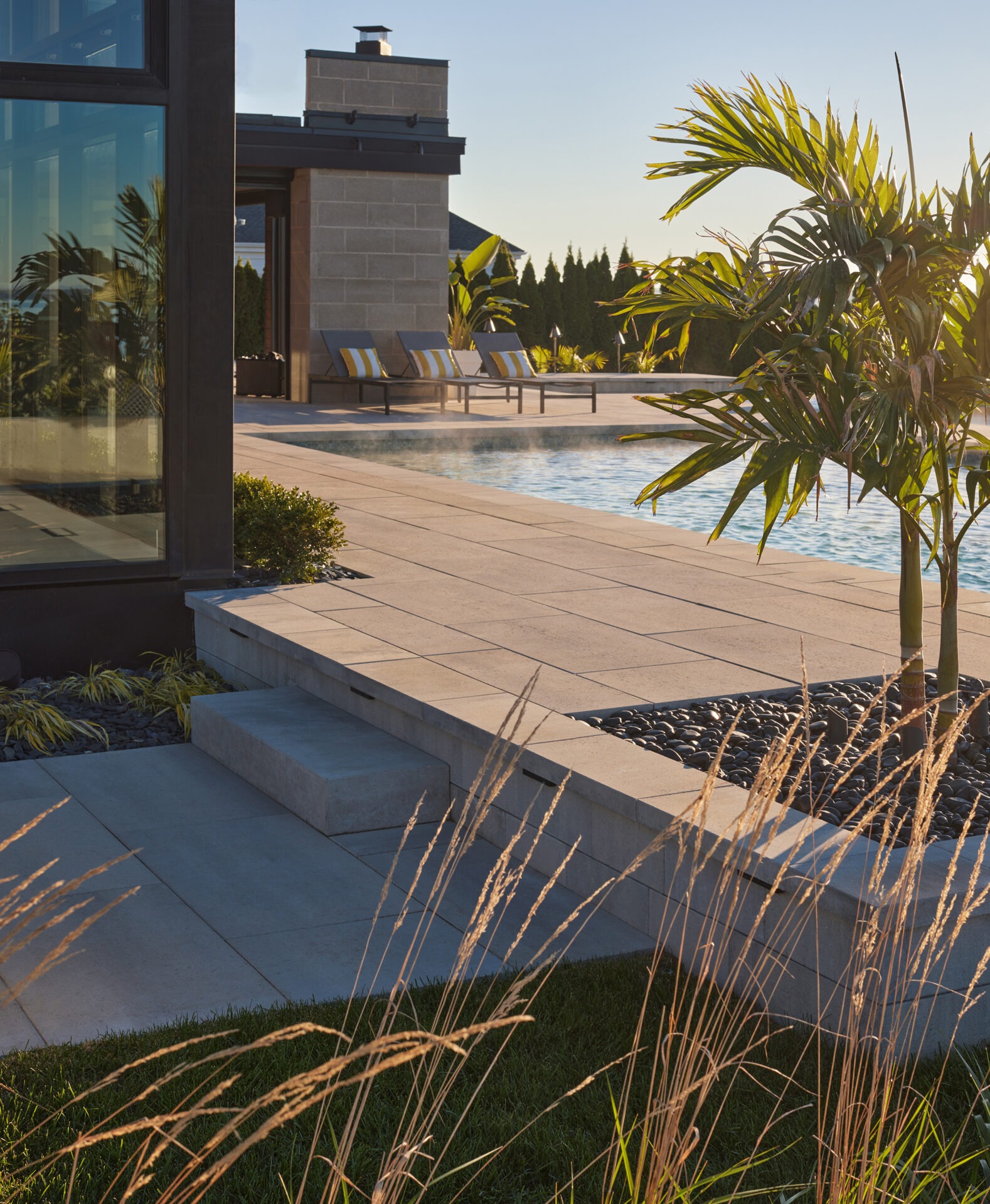 Modern patio with a pool, lounge chairs, palm tree, and a building with large windows. Sunny, serene atmosphere with greenery.