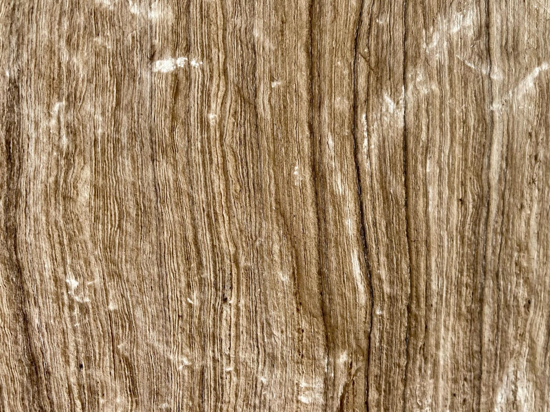 A detailed close-up of textured wood grain, featuring intricate lines and patterns in varying shades of brown, resembling natural artwork.