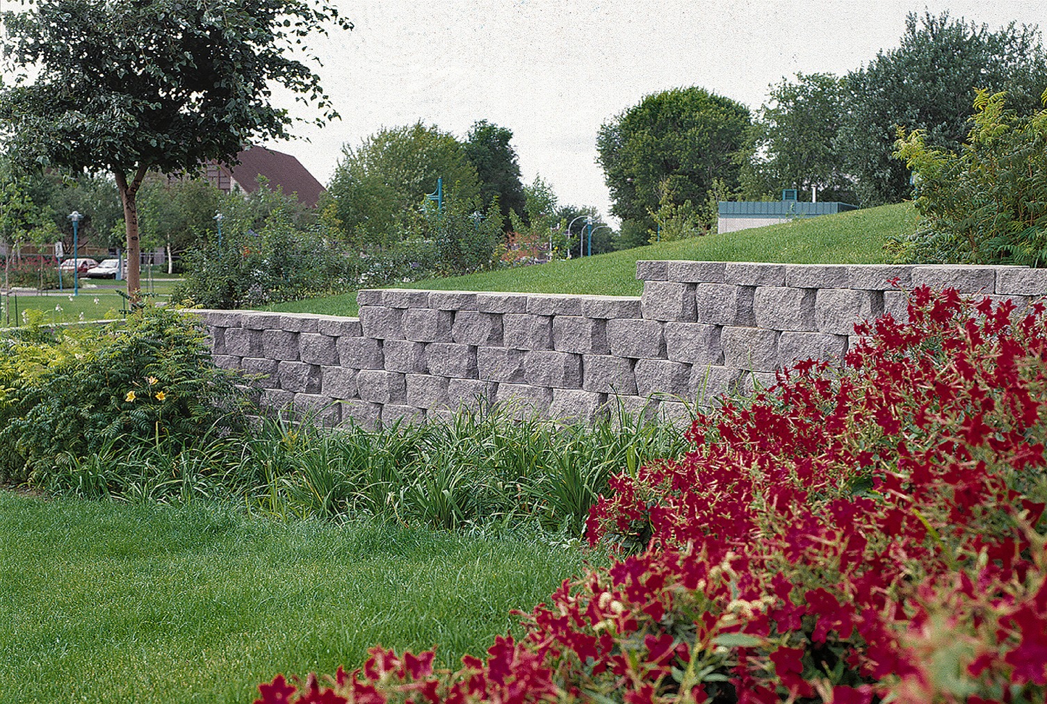 A landscaped garden with a stone retaining wall, vibrant flowers, lush greenery, and trees. A serene park setting with visible parked cars.