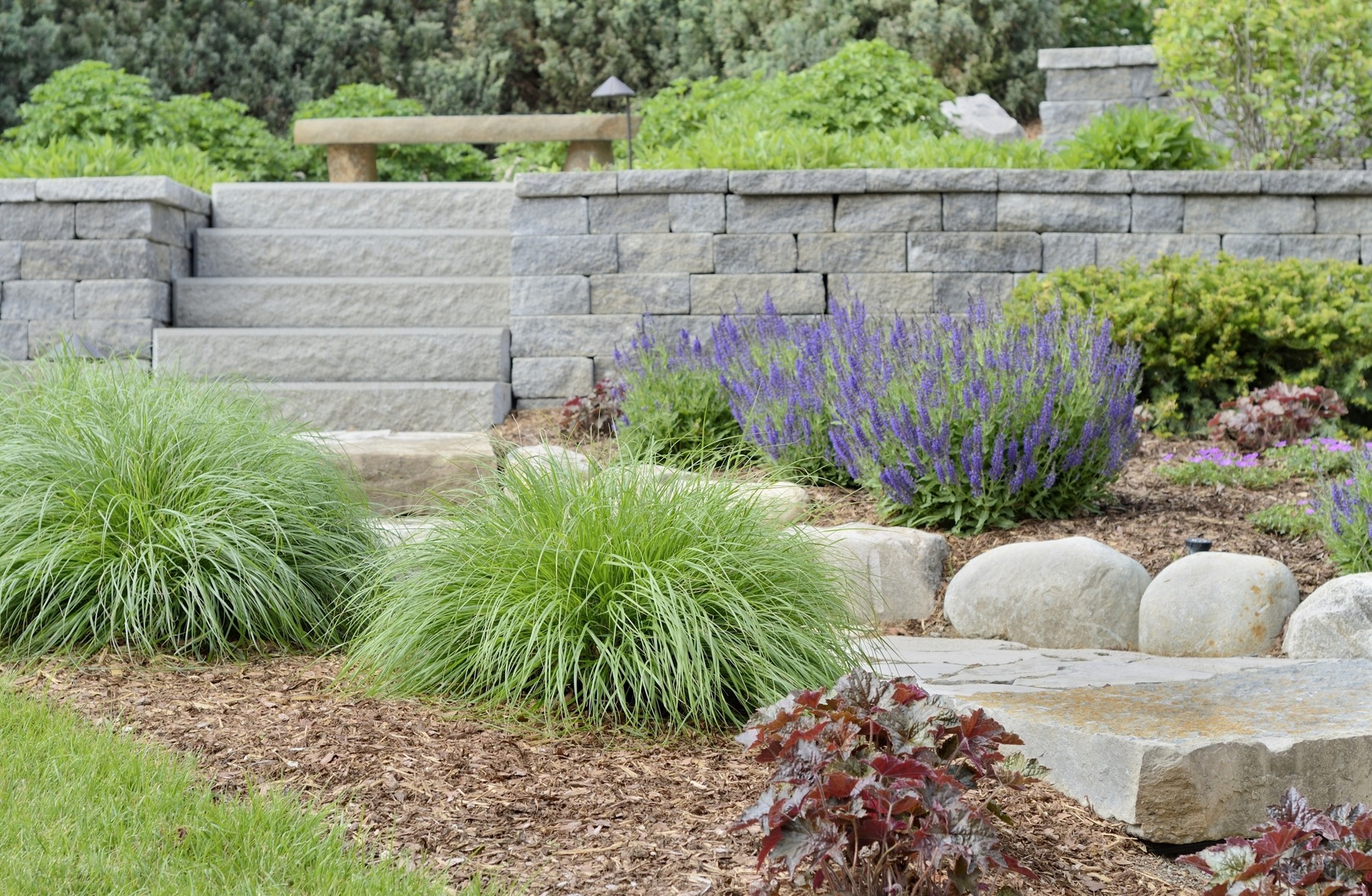 A terraced garden with stone steps, vibrant greenery, and purple flowers, surrounded by neatly trimmed plants and a stone bench.