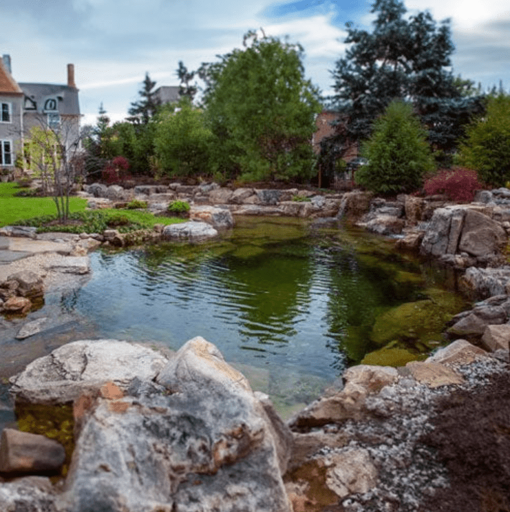 A serene garden features a natural stone pond surrounded by trees and a house, creating a peaceful, picturesque outdoor setting.