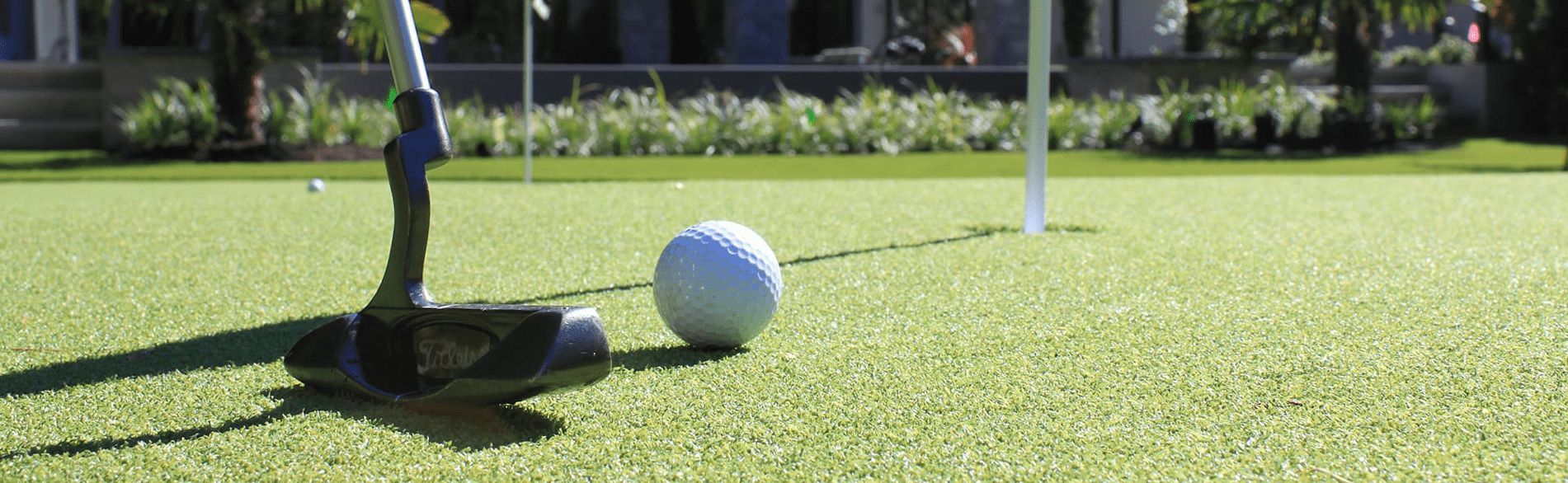 A golf club putts a white golf ball towards a hole on a sunny green course, with bushes in the background.