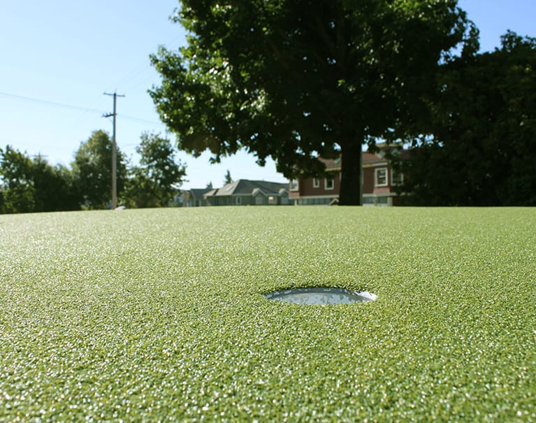 Close-up of a golf hole on a green field with trees and houses in the background, under a clear blue sky.