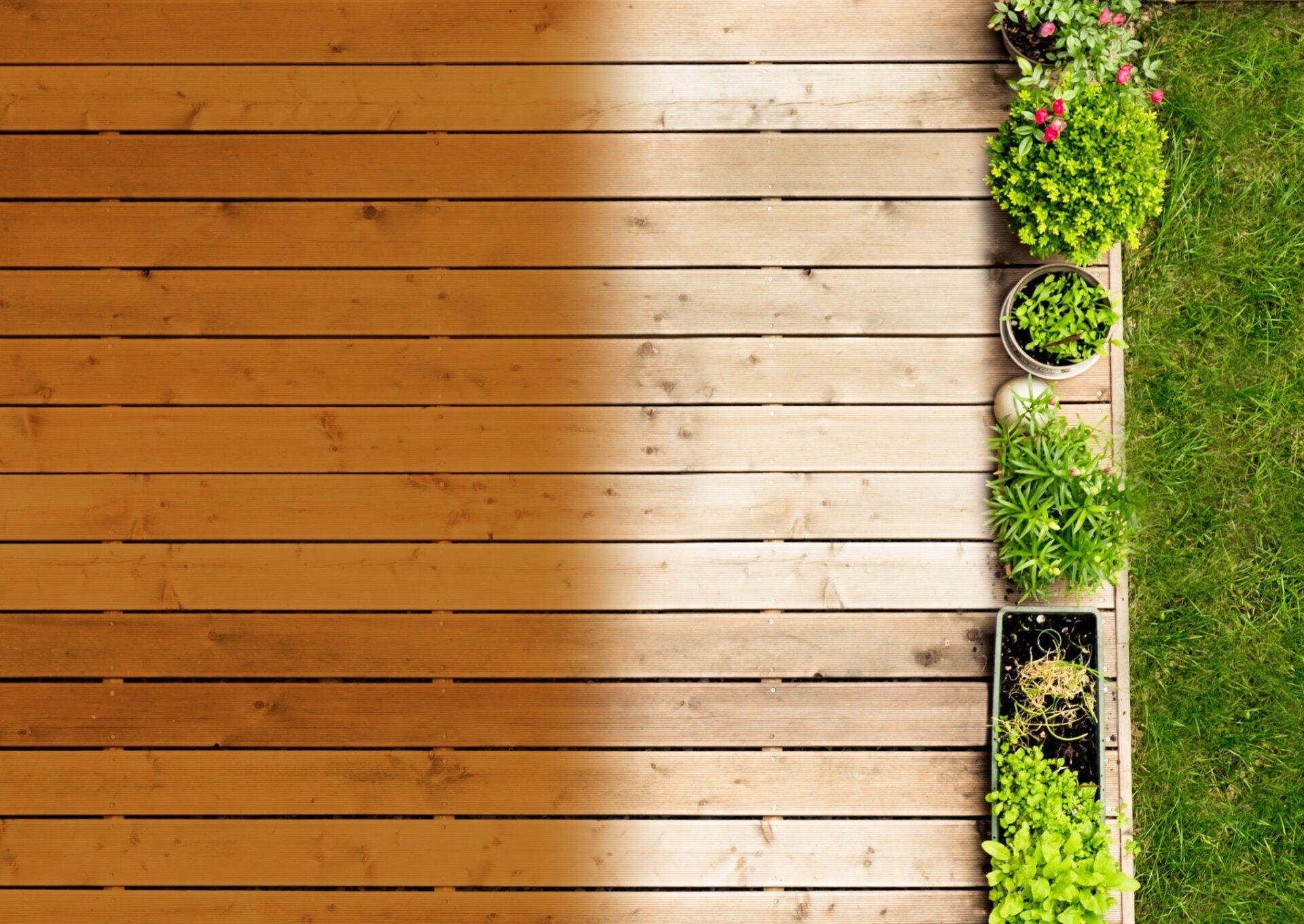 Wooden deck with shadow meets green grass, lined with vibrant potted plants. Sunlight highlights the natural textures and colors of nature.
